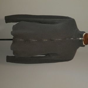 Express men's sweater